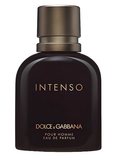 DOLCE GABBANA INTENSO POUR HOMME WODA PERFUMOWANA
